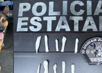 escanusnias