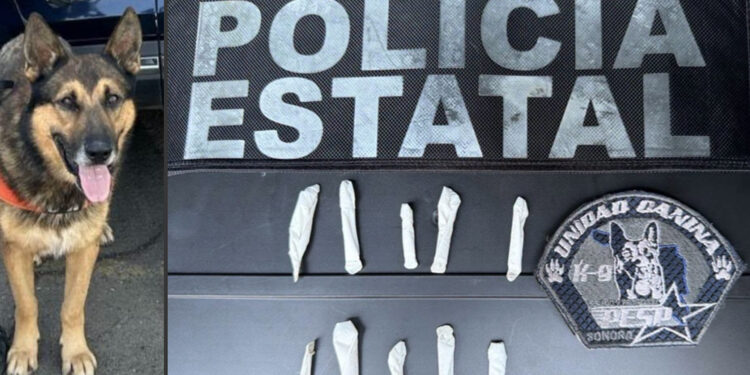 escanusnias