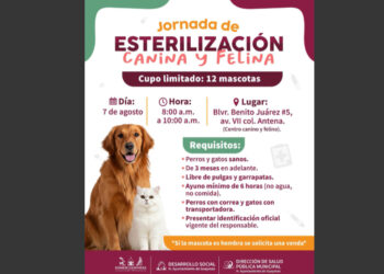 Invitan a Jornada de esterilización canina y felina