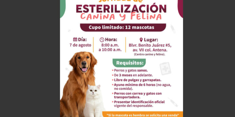 Invitan a Jornada de esterilización canina y felina
