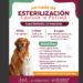 Invitan a Jornada de esterilización canina y felina
