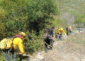 hectareas