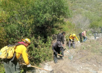 hectareas