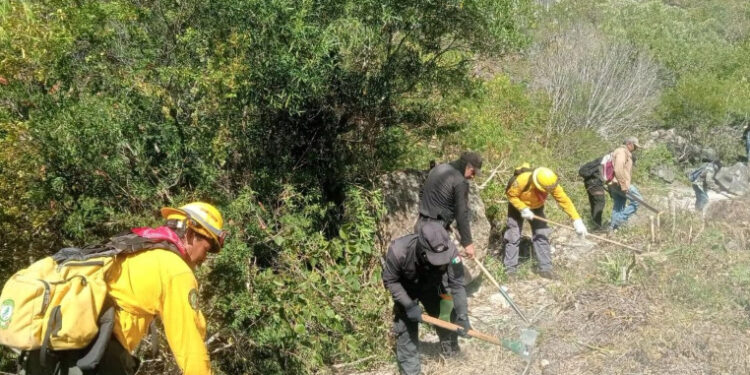 hectareas