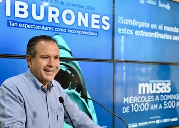 tiburone01780