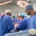 donarorganos
