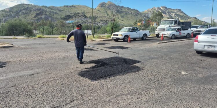 bacheosdejermosillo